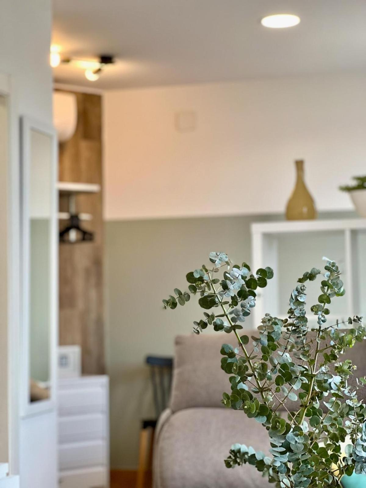 Apartamentos De Pradas فالنسيا المظهر الخارجي الصورة